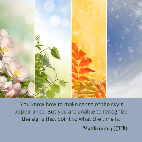 da2a6bd2-7b76-cd08-010e-6186be0bf832.png