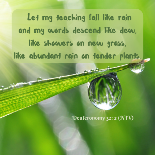 115a3771-61db-c606-37f9-bbeb0309bd53.png