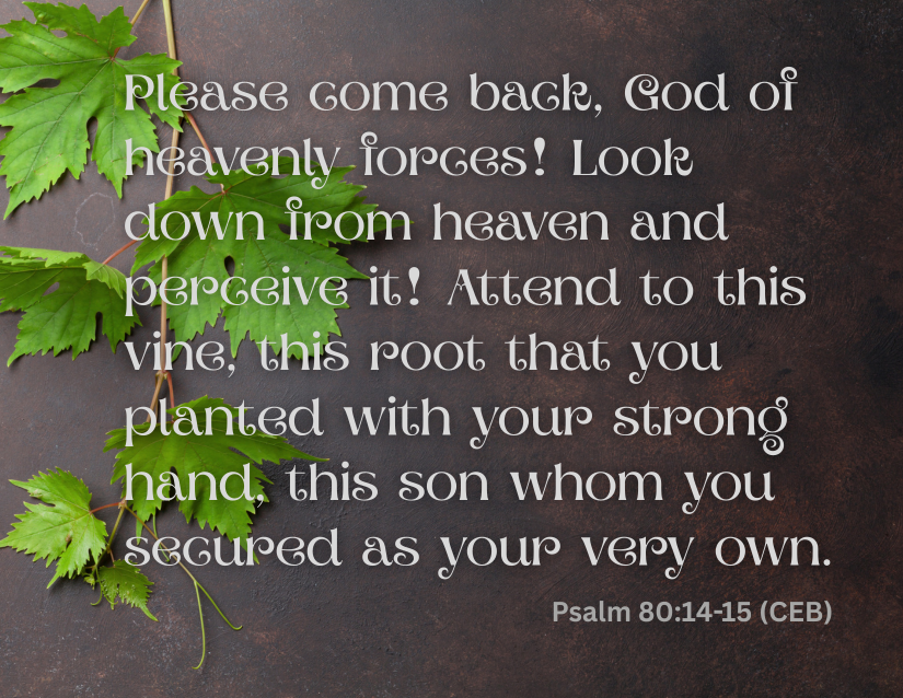 P&PofR - Day 21- scripture.png