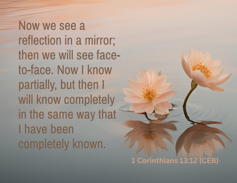 When Light - Day 17.png