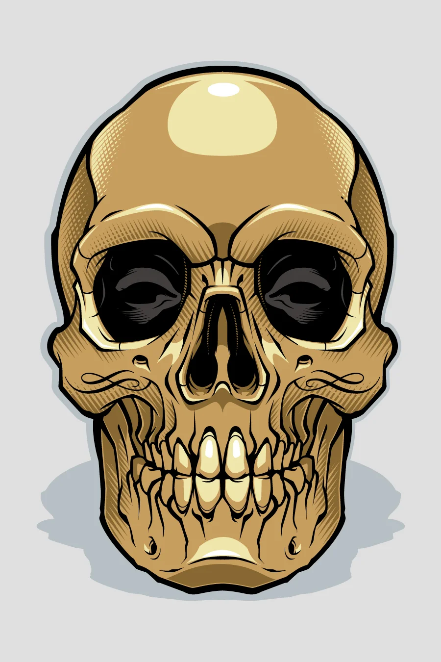 Head.jpg