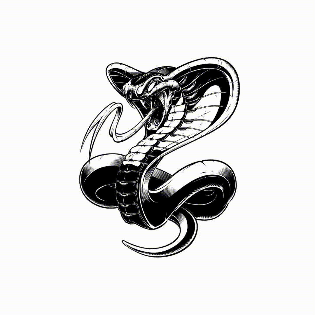 sweyda_anim_export.gif