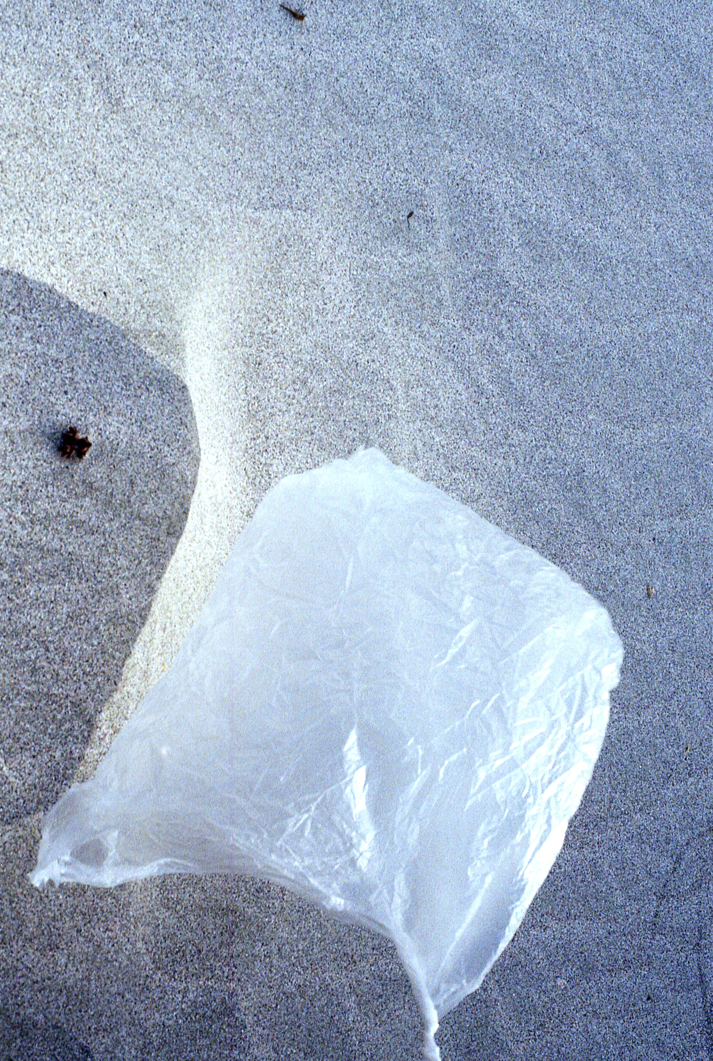 blow up plastic bag on sand  Kopie.jpg