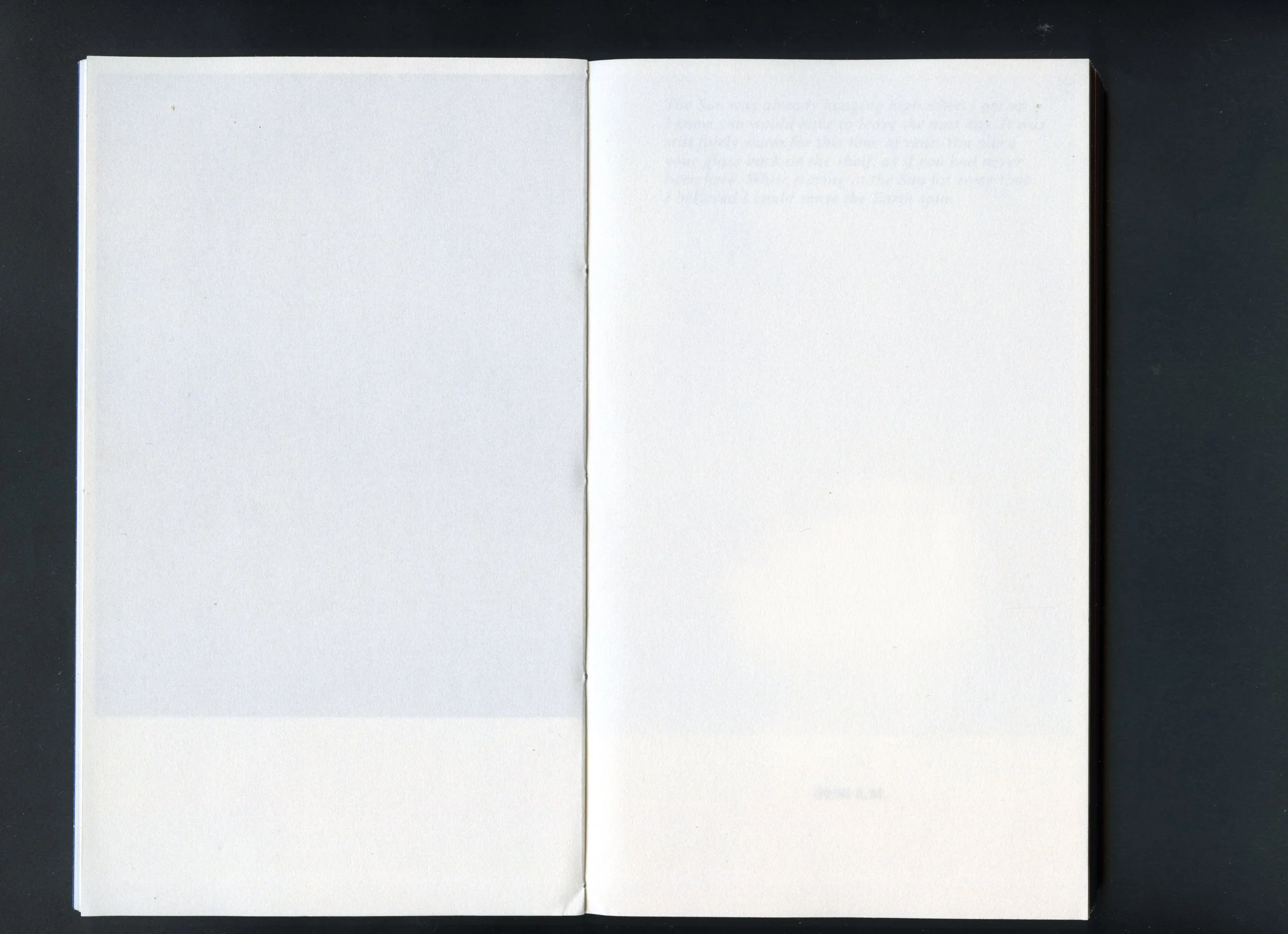 Scan 2.jpeg