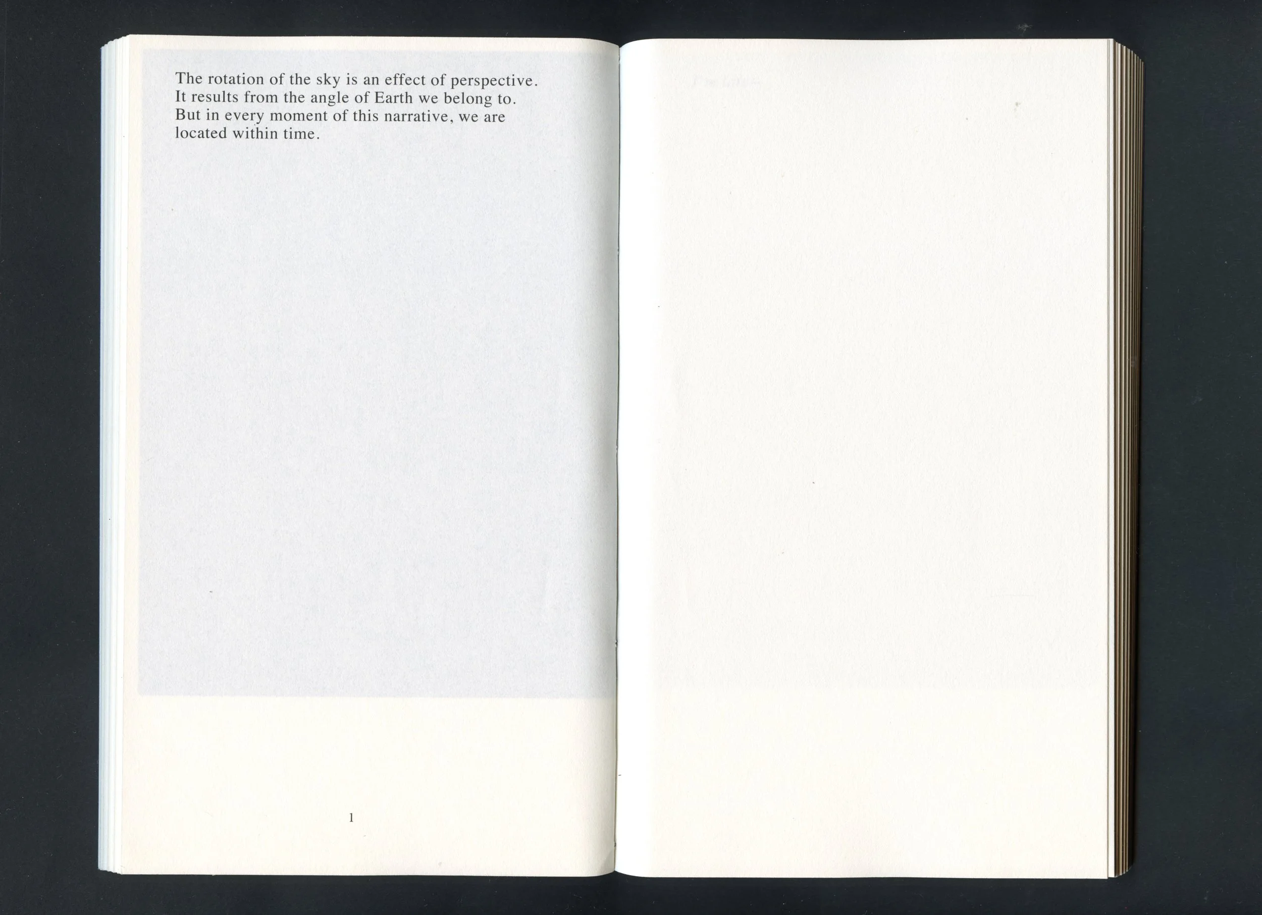 Scan 18.jpeg