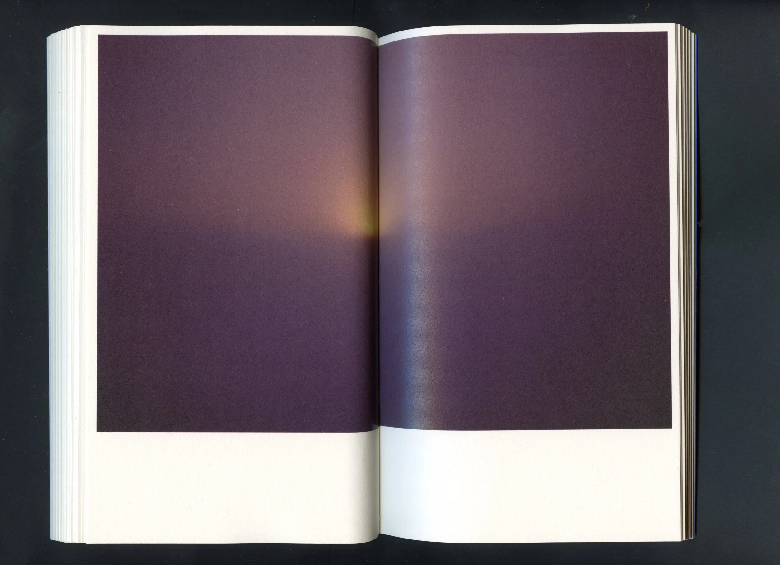 Scan 29.jpeg