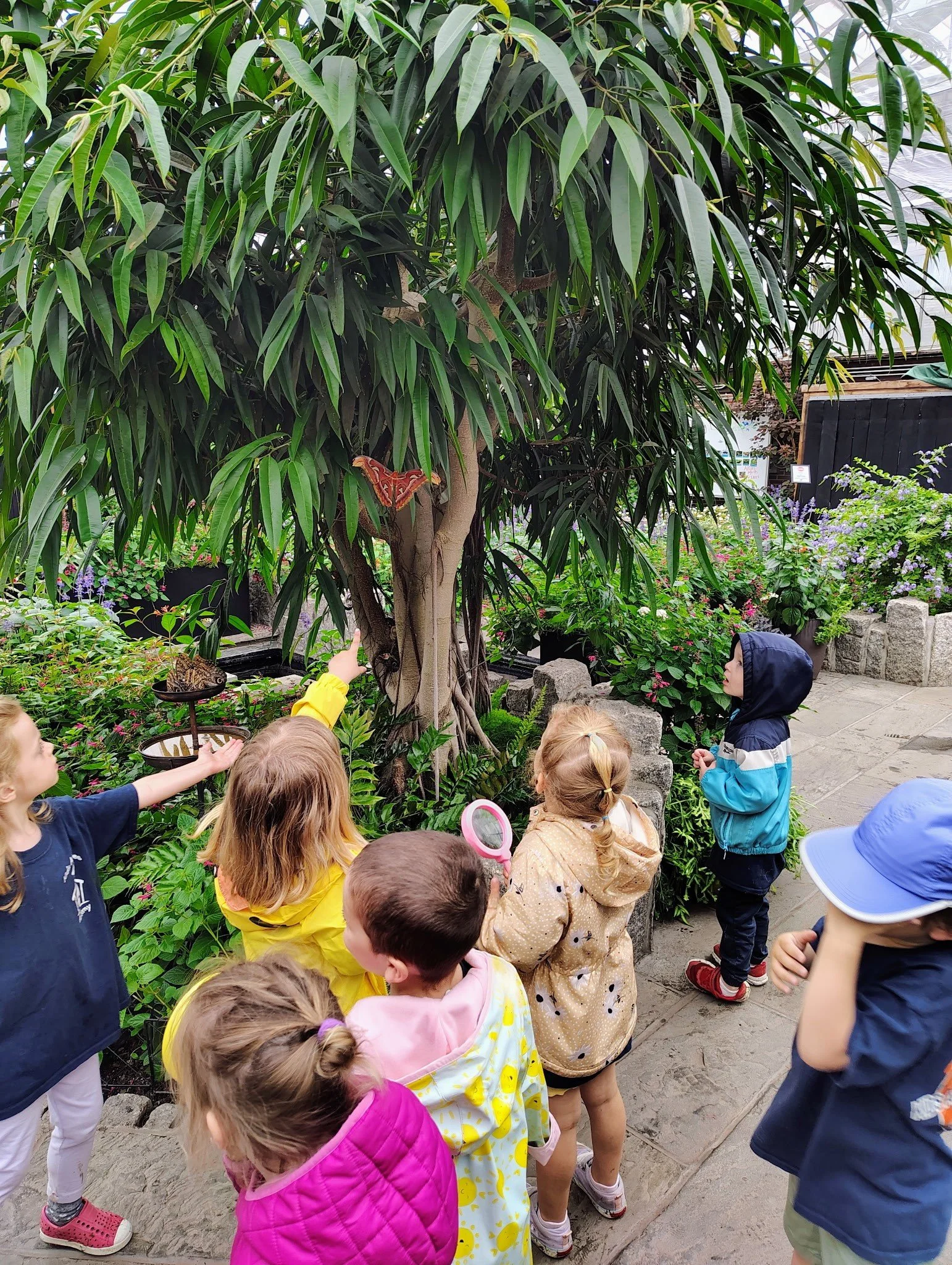 preschool6.jpg