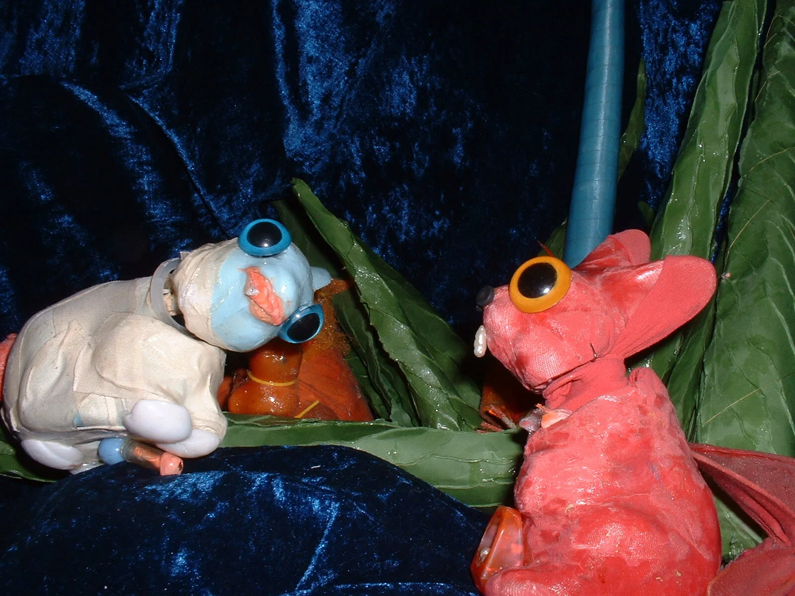 Bunnies (20).JPG