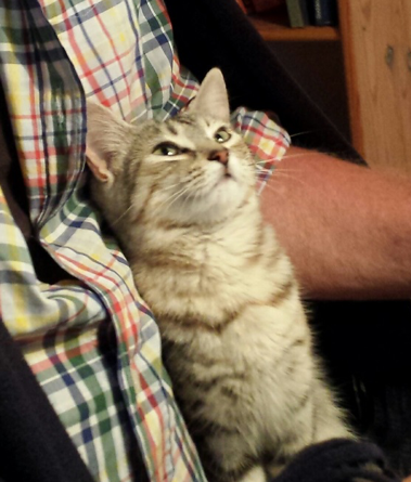 Carlita, an hour after she first followed Eric and Kathryn home