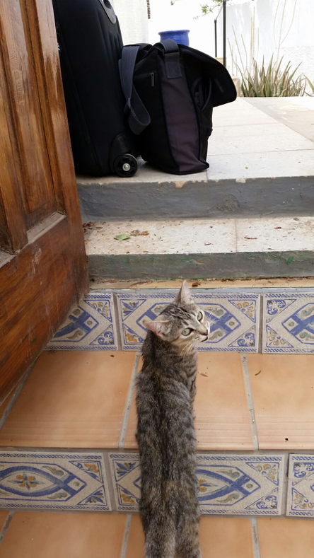 Eric's farewell with Carlita, their last eye contact before he left.
