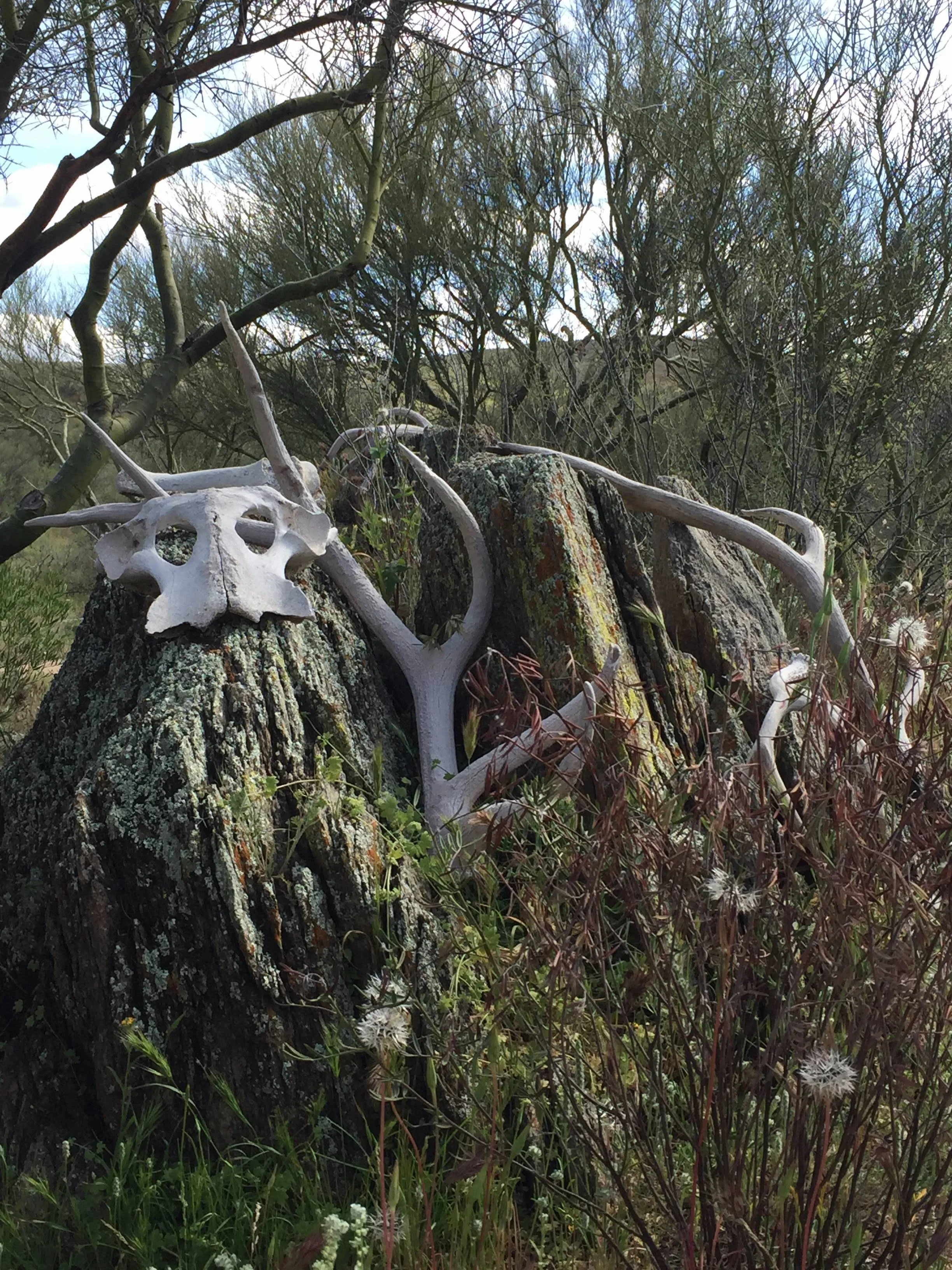 antler rock.jpg