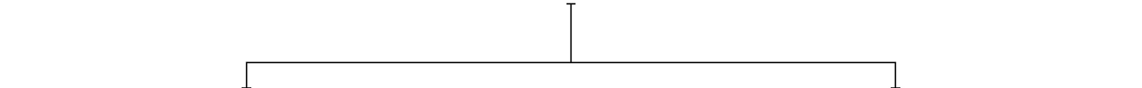 BS001_Squarespace_2.jpg