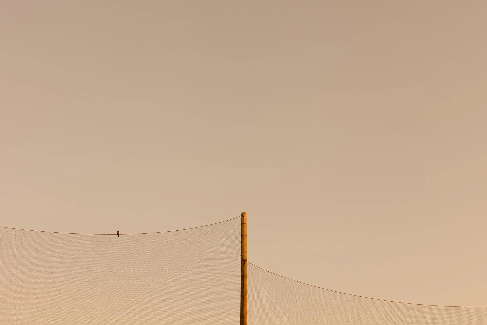 261/366