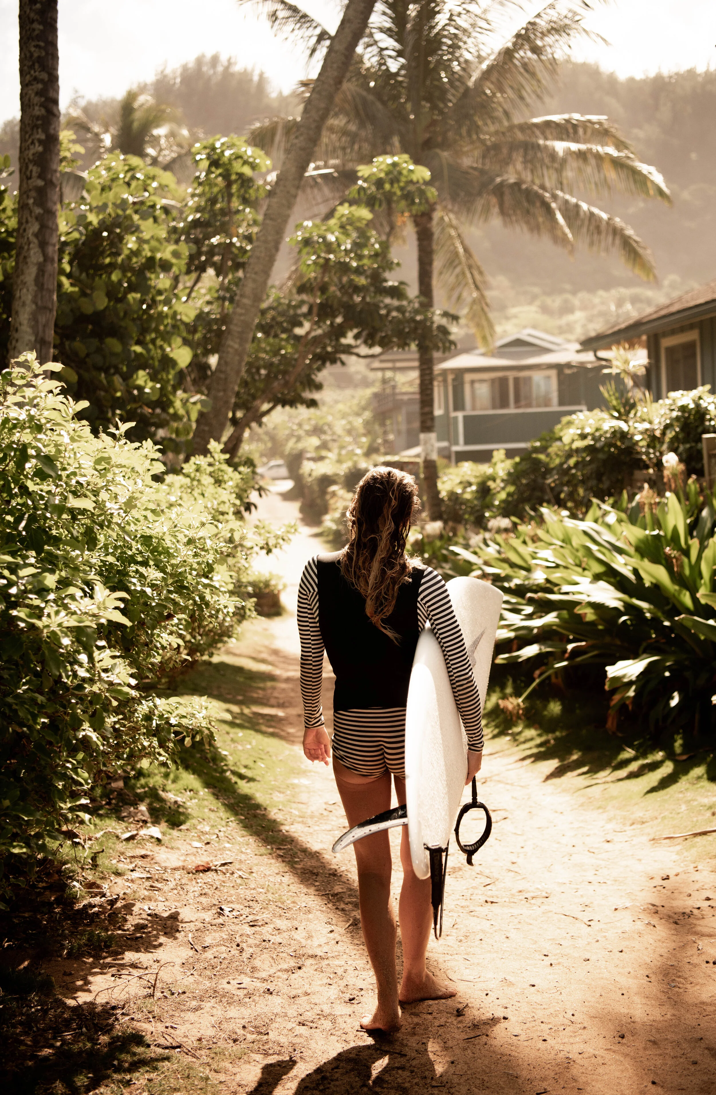 bb_hawaii_-4small.jpg
