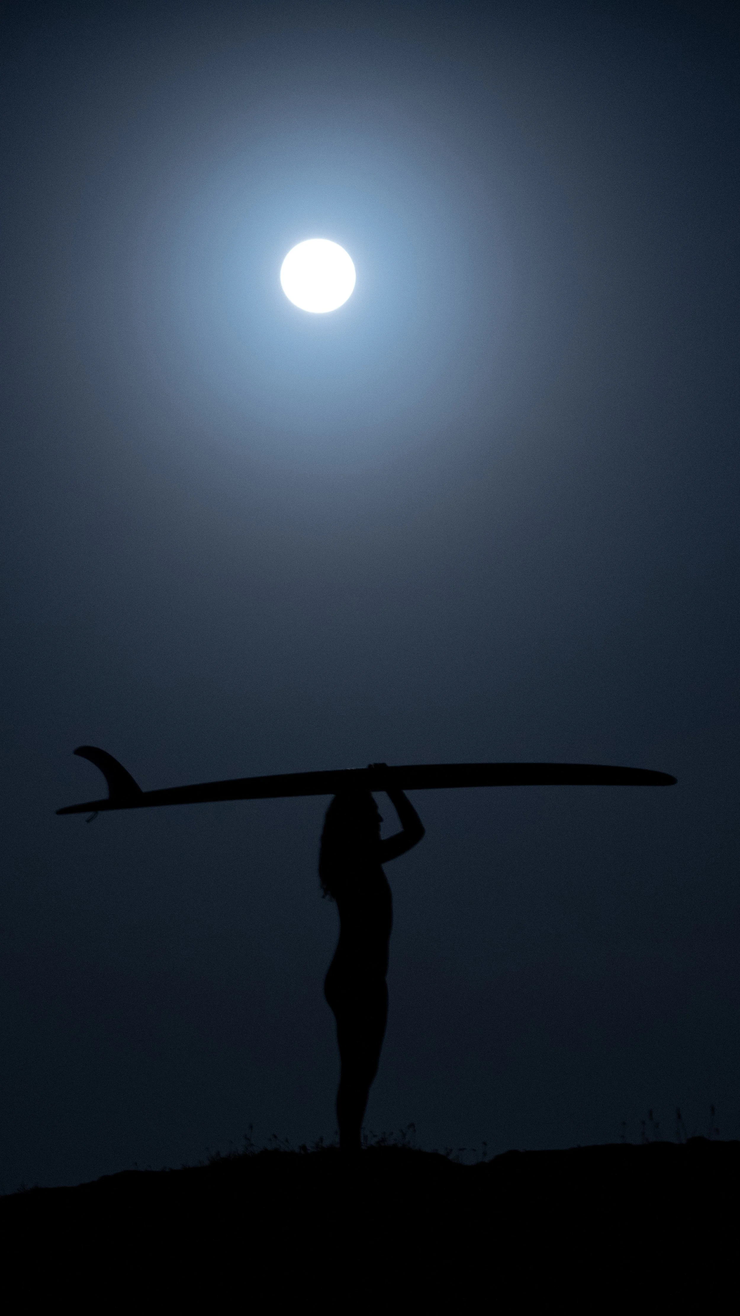 tt_002.jpg