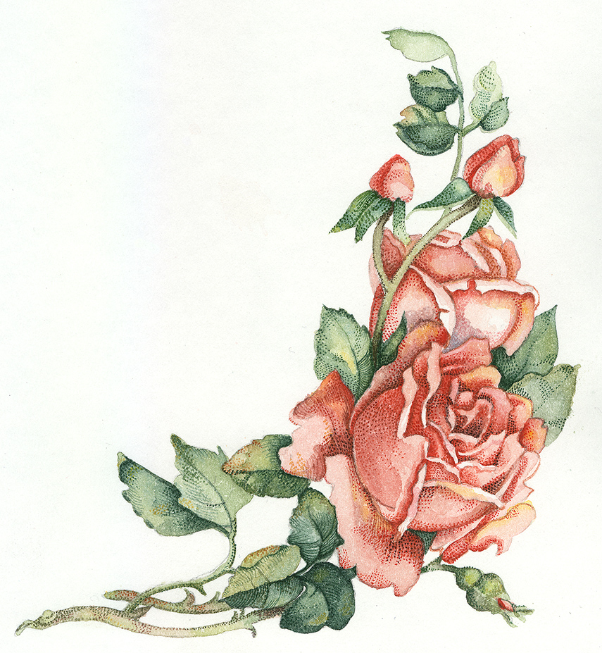 Patti King Slavtcheff_Floral_Victorian Rose