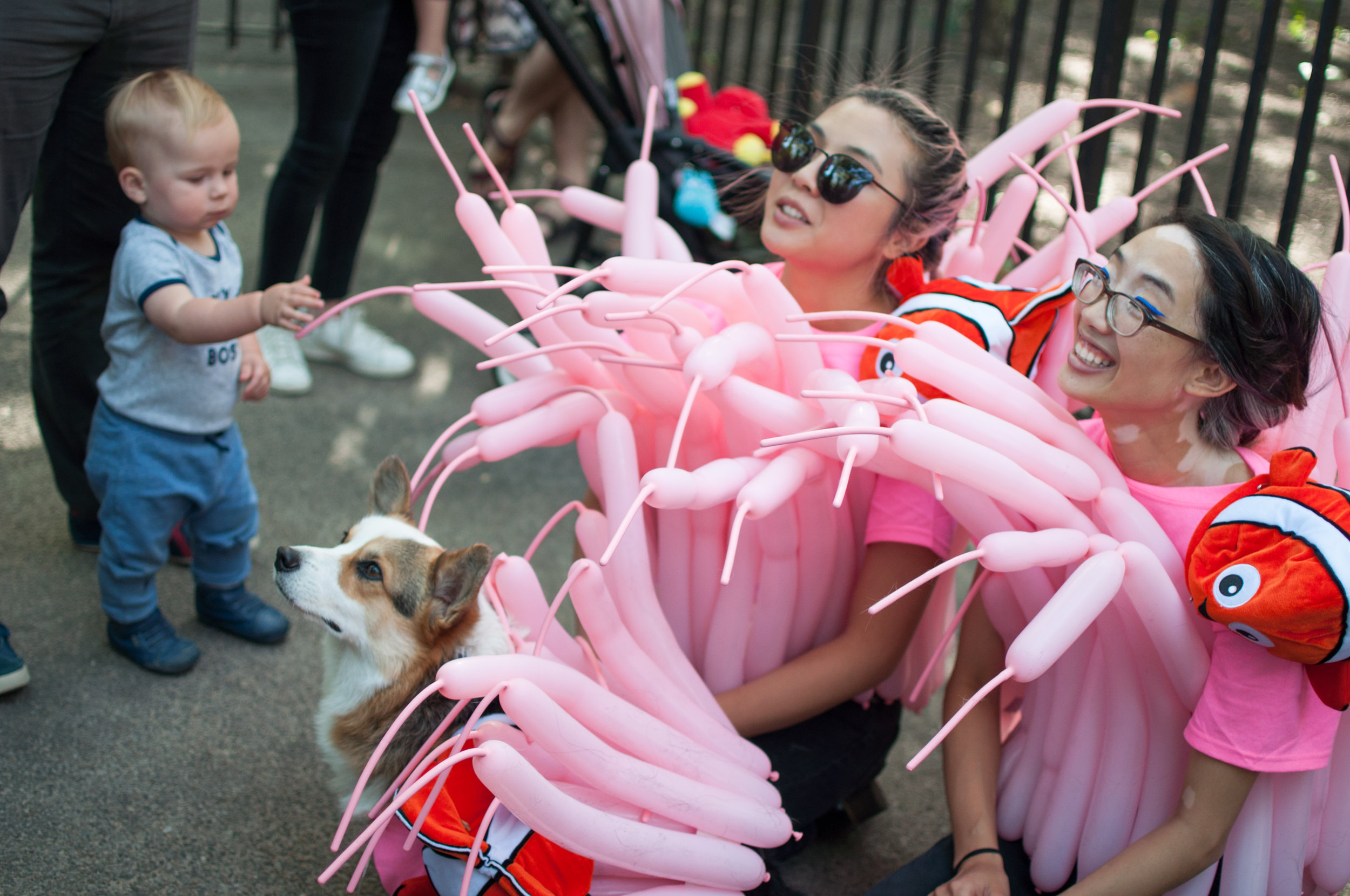 10.21.17_Tompkins Square Dog Parade-38.jpg