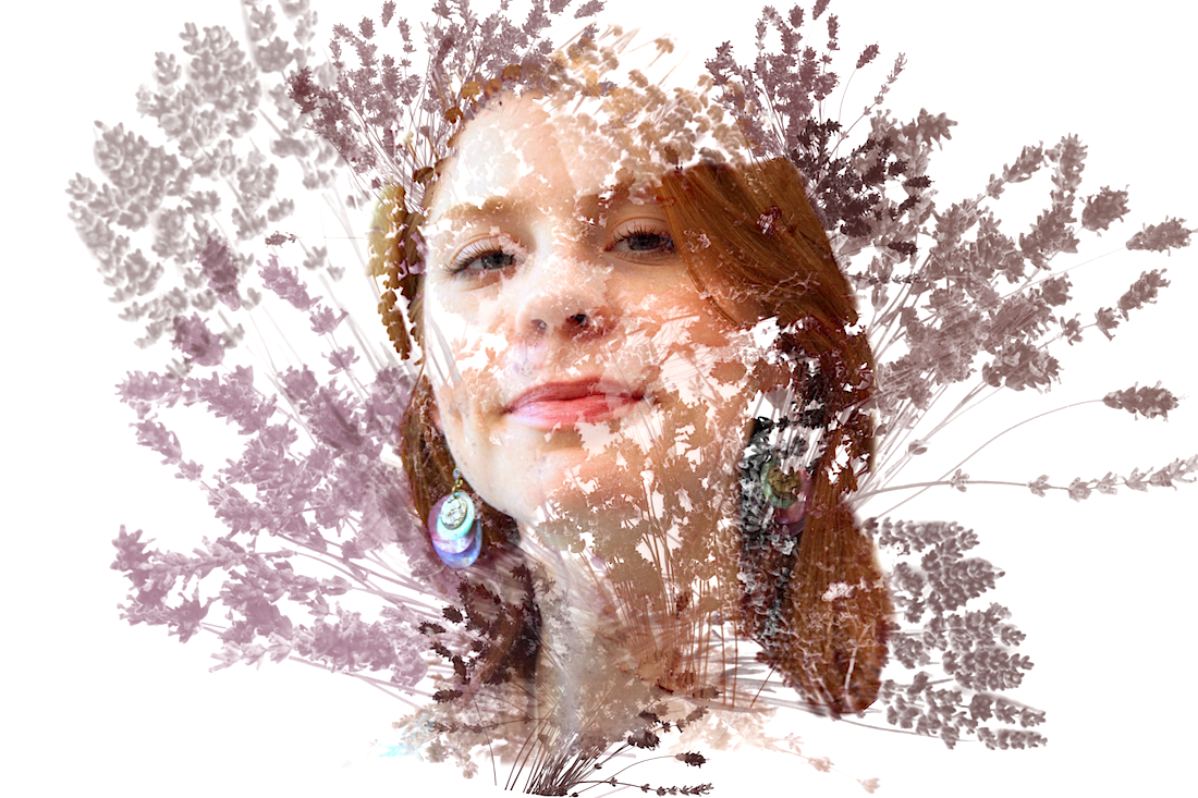 24d764ed2f1112cd0cf7b1ea62a470df.png