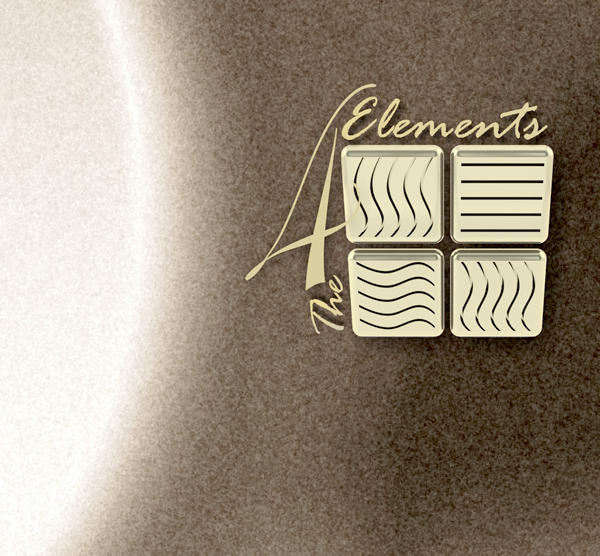 Fragment of graduation project cover page (Logo of accessories collection)