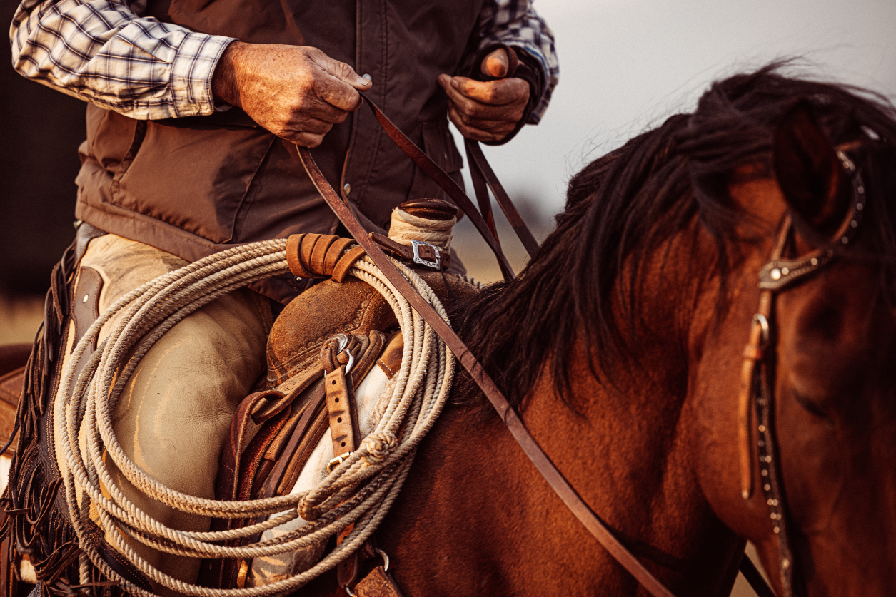 Screenshot 2025-12-01 at 3.56.41 PM.png