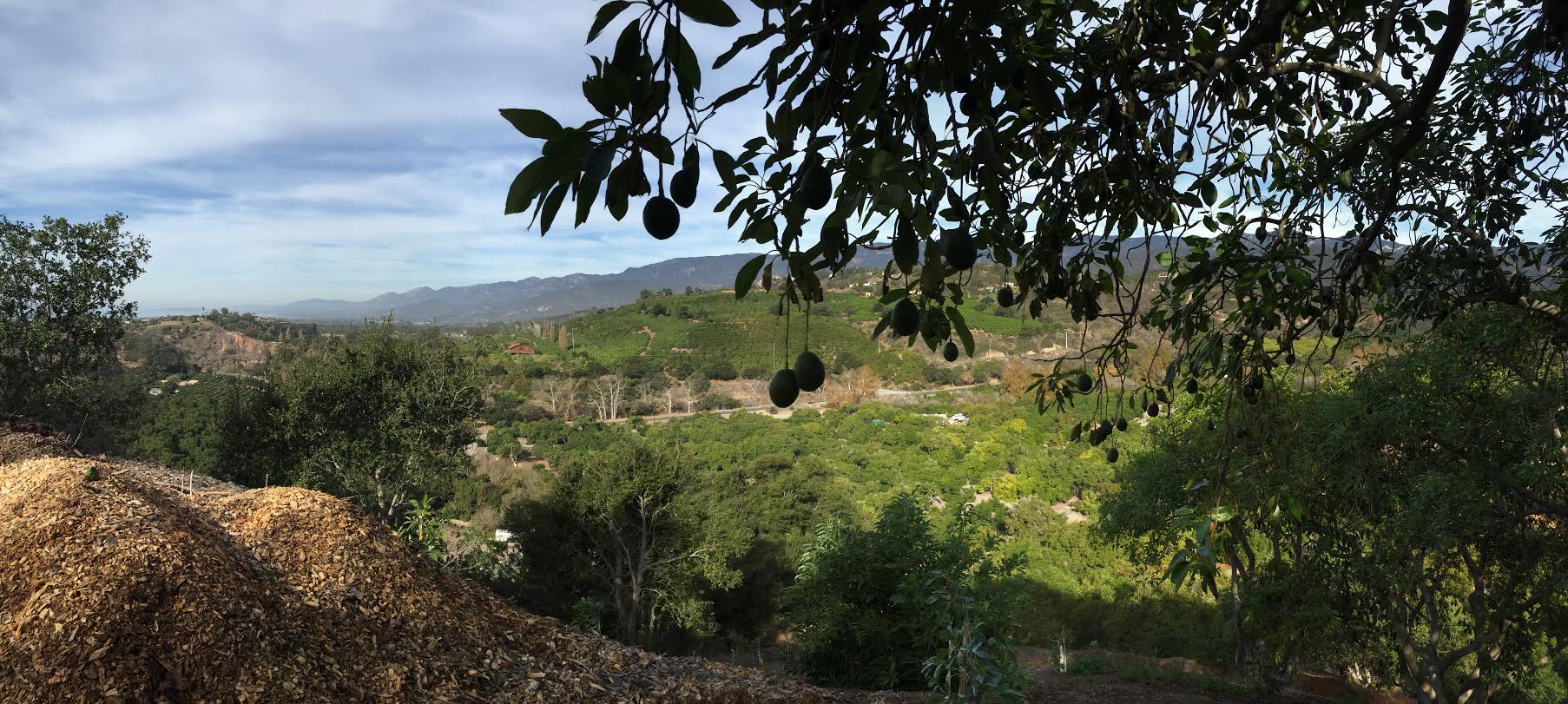 good ranch photo.jpg