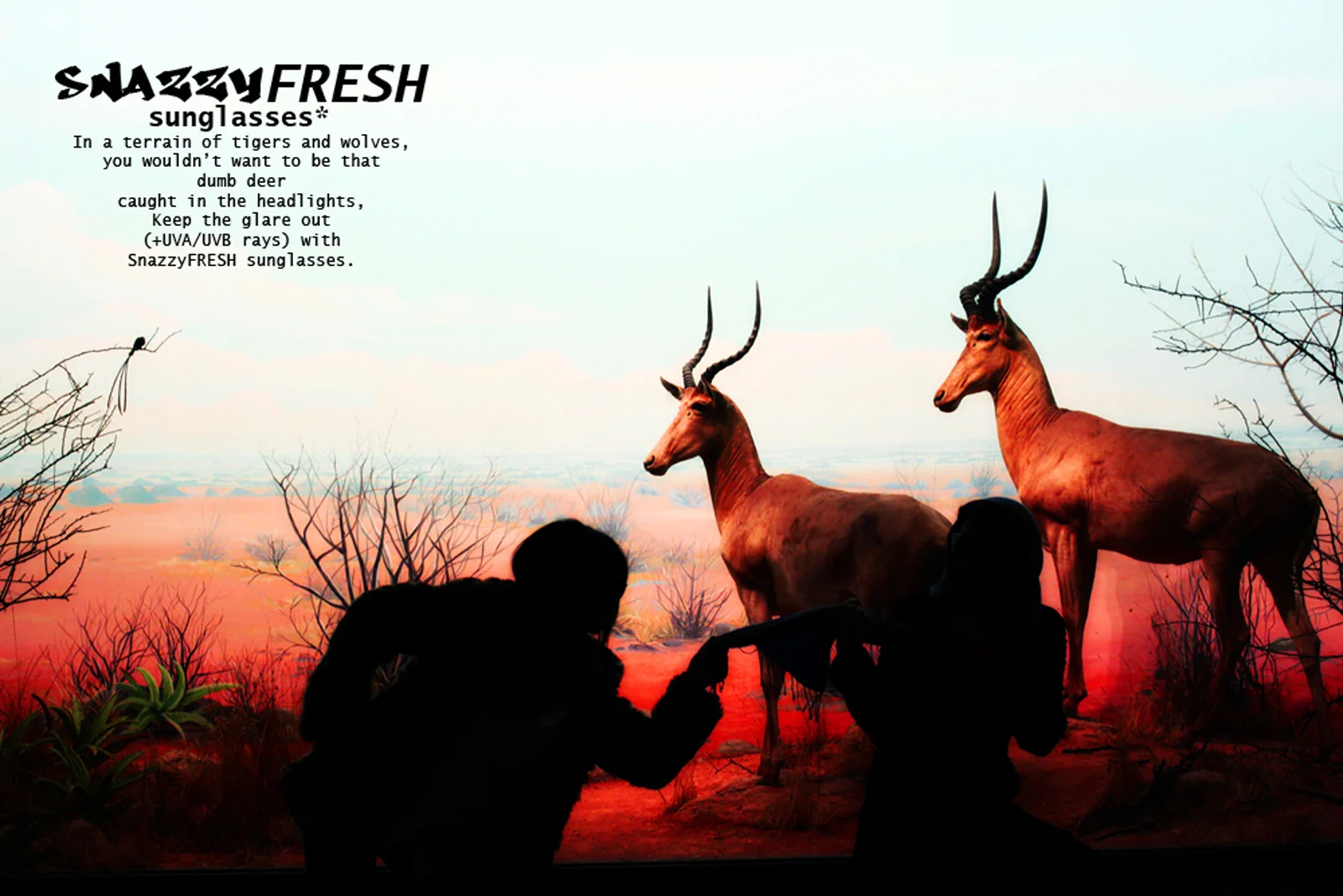 CAS.connie and me and deer background.label_1.jpg