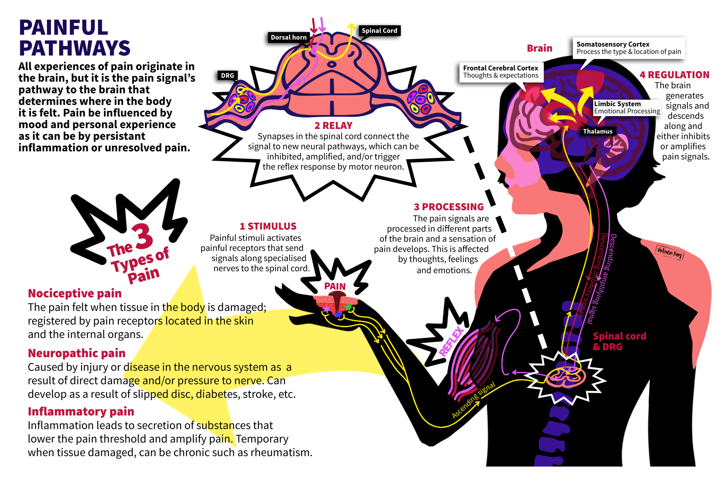 Painful Pathways3.png