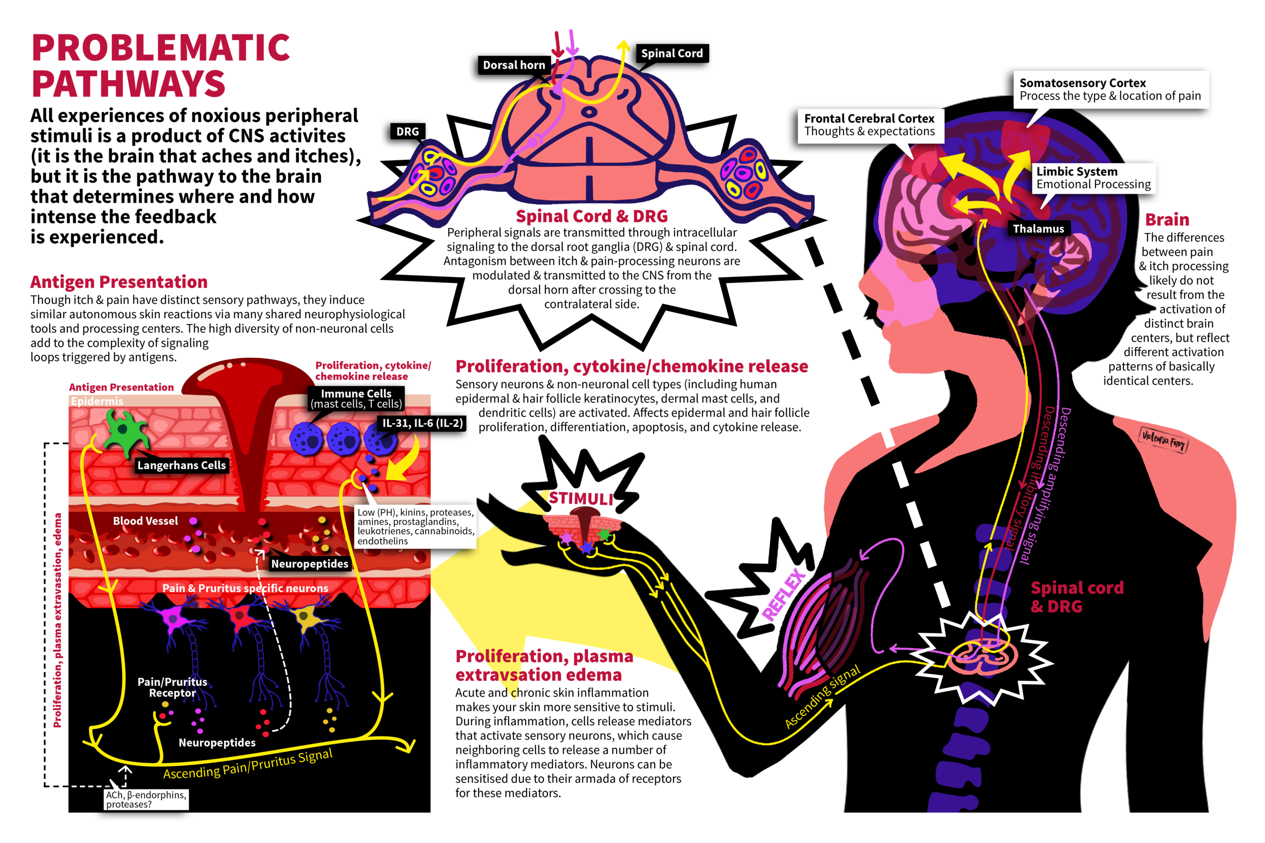 Problematic Pathways_4.png