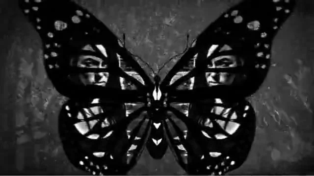 Amusement Parks on Fire