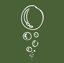Bursting Bubbles