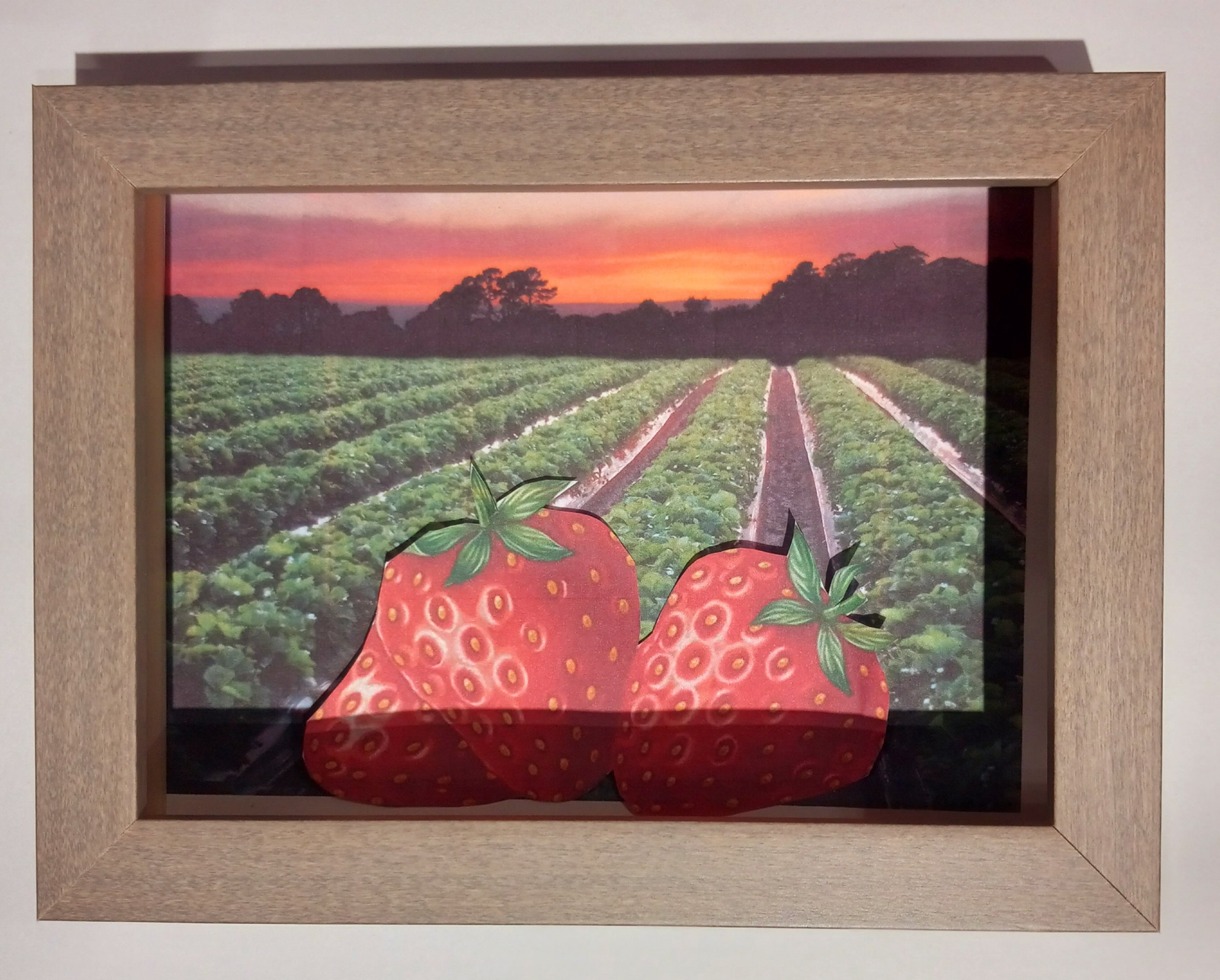 20240417_121847 (1).jpg