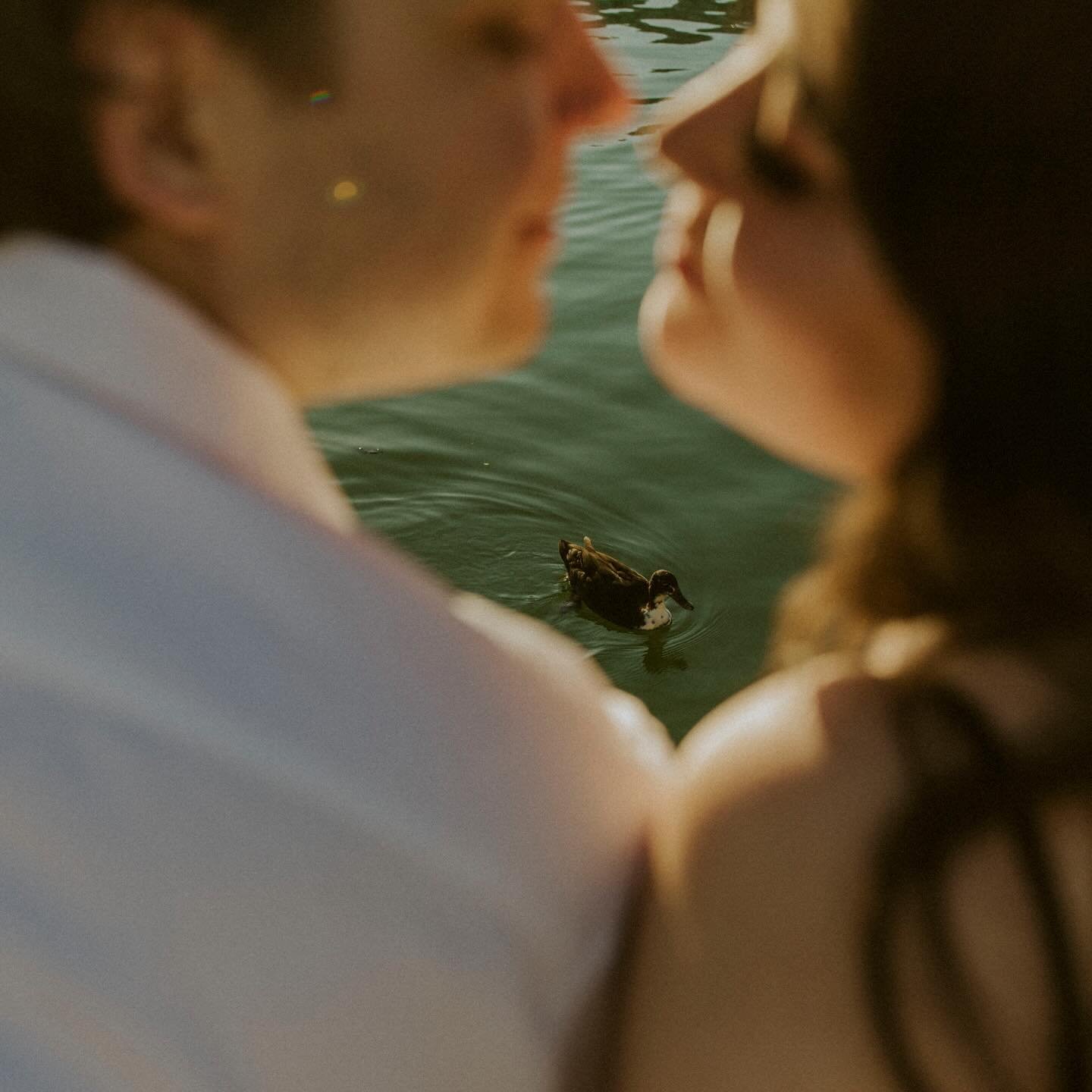 loved photographing these two love birds (oh and my clients are pretty great too)🤍

#samanthajanephotography #delawarephotographer #marylandphotographer #baltimorephotographer #easternshorephotographer