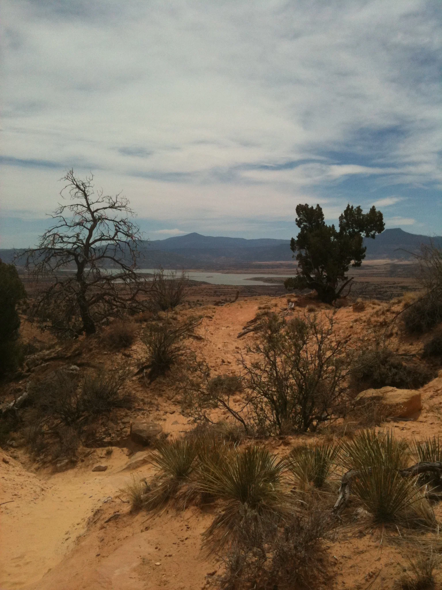 New Year, New Blog
