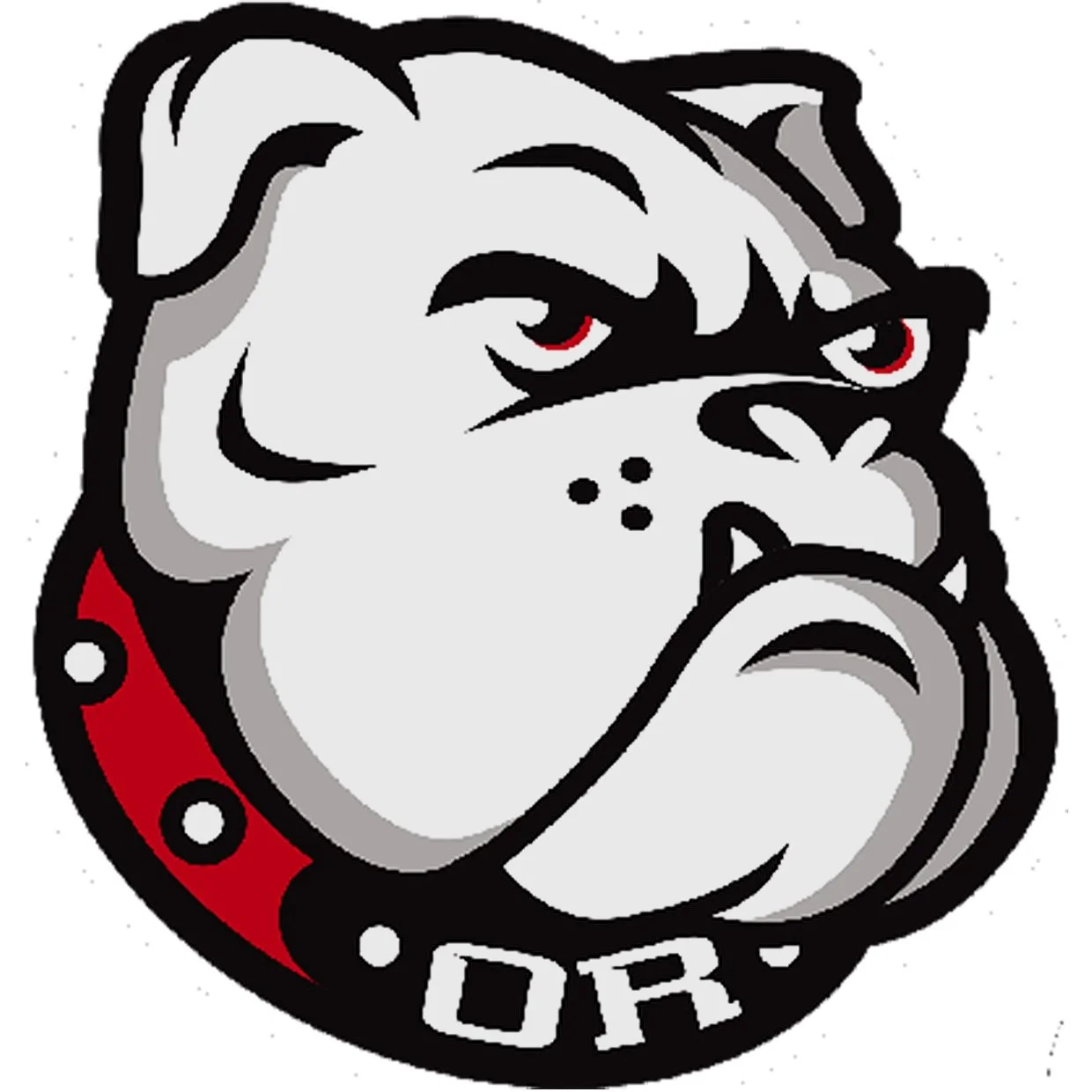 Old_Rochester_Regional_Bulldogs_MA+%281%29.jpg