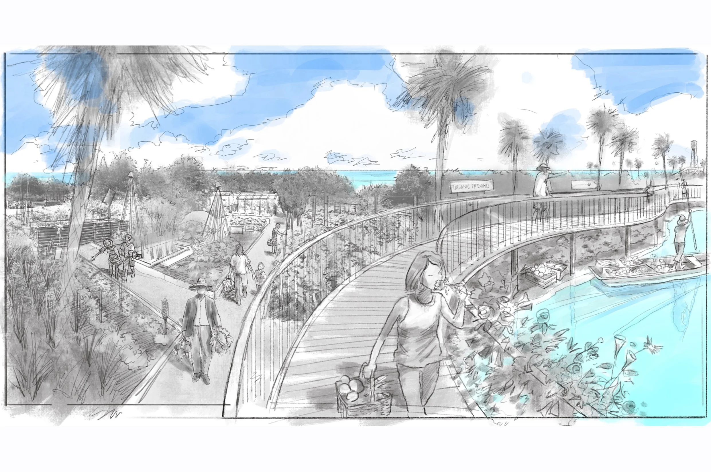 Farm_Boardwalk+2.jpg