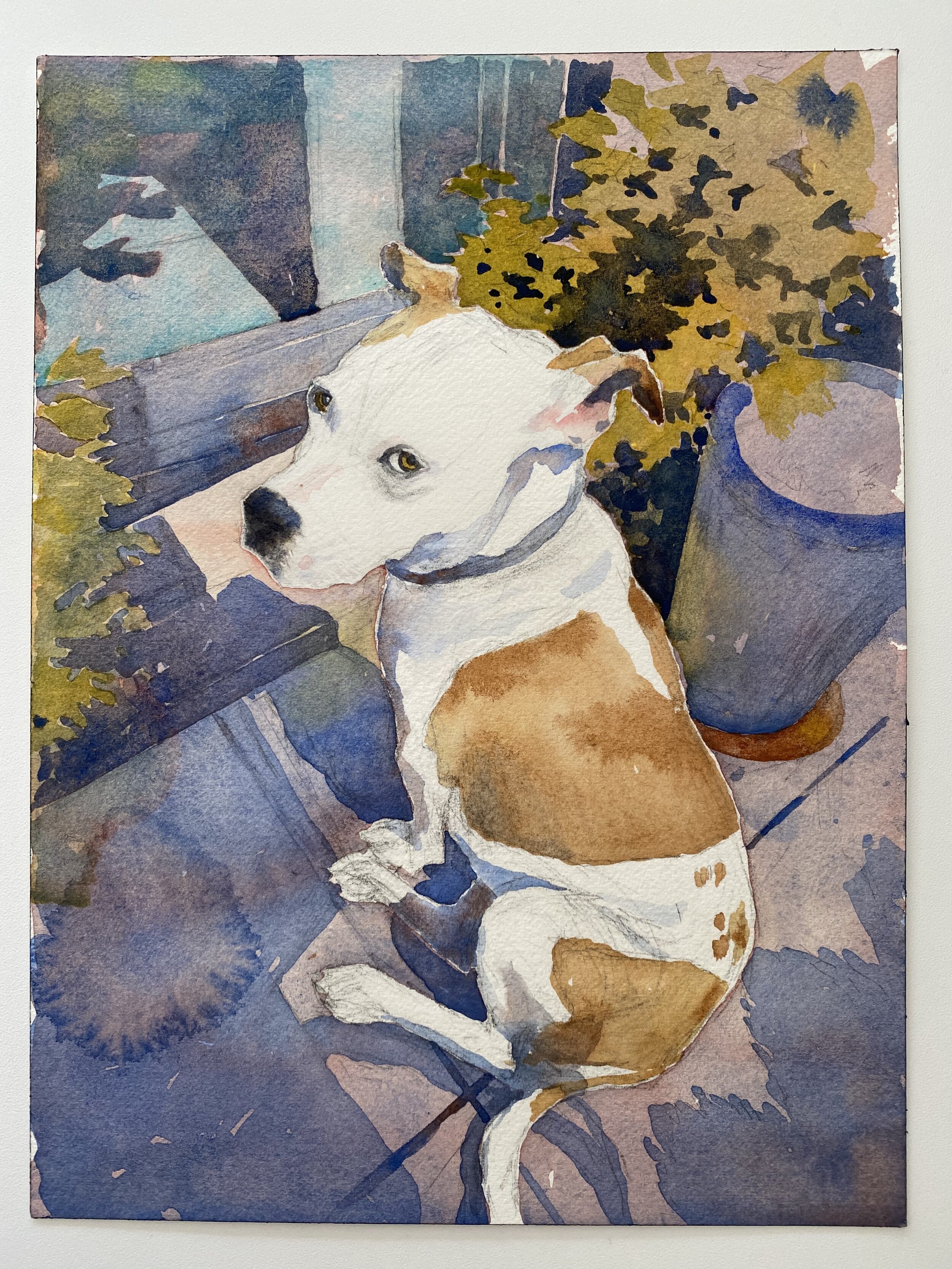 Watercolor Portrait of Pit Bull Rescue Dog "Diana"