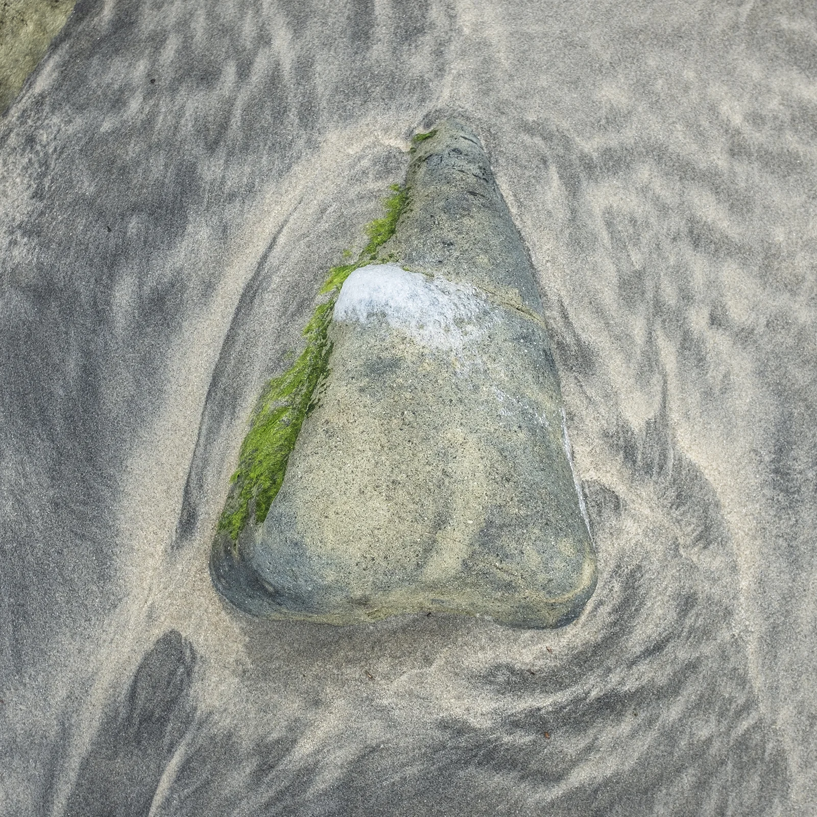 DSCF0217.jpg