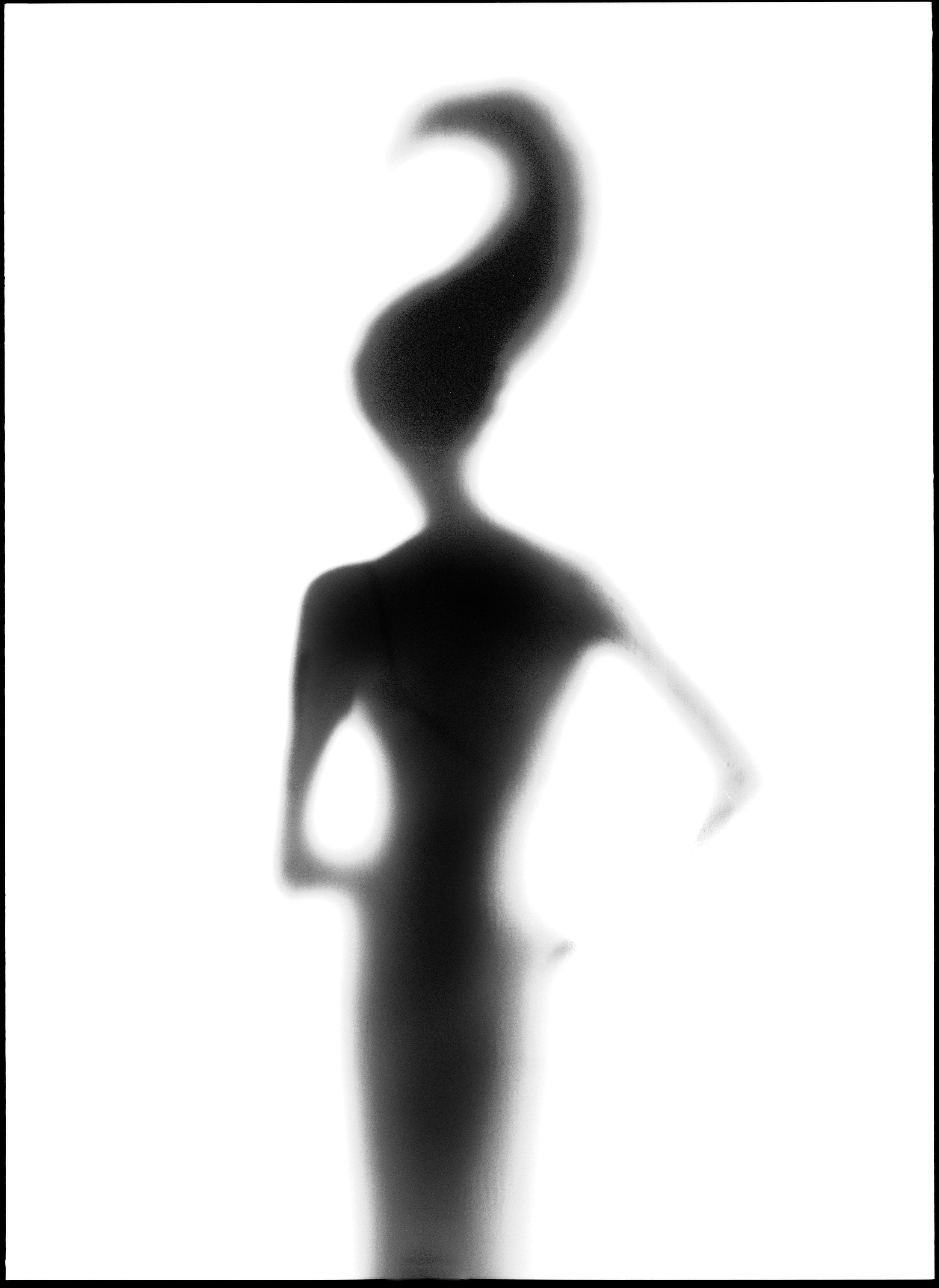 websiloShape me like fun.jpg
