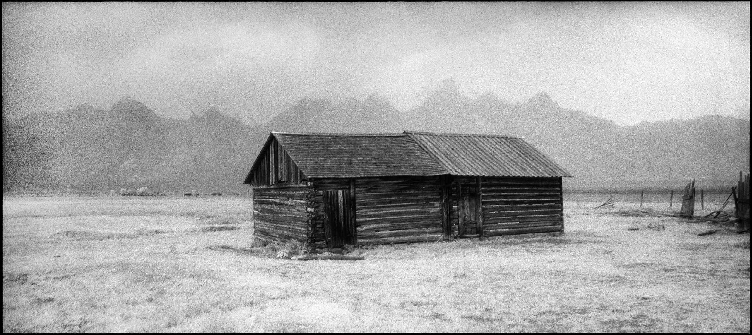 montana log cabin.jpg