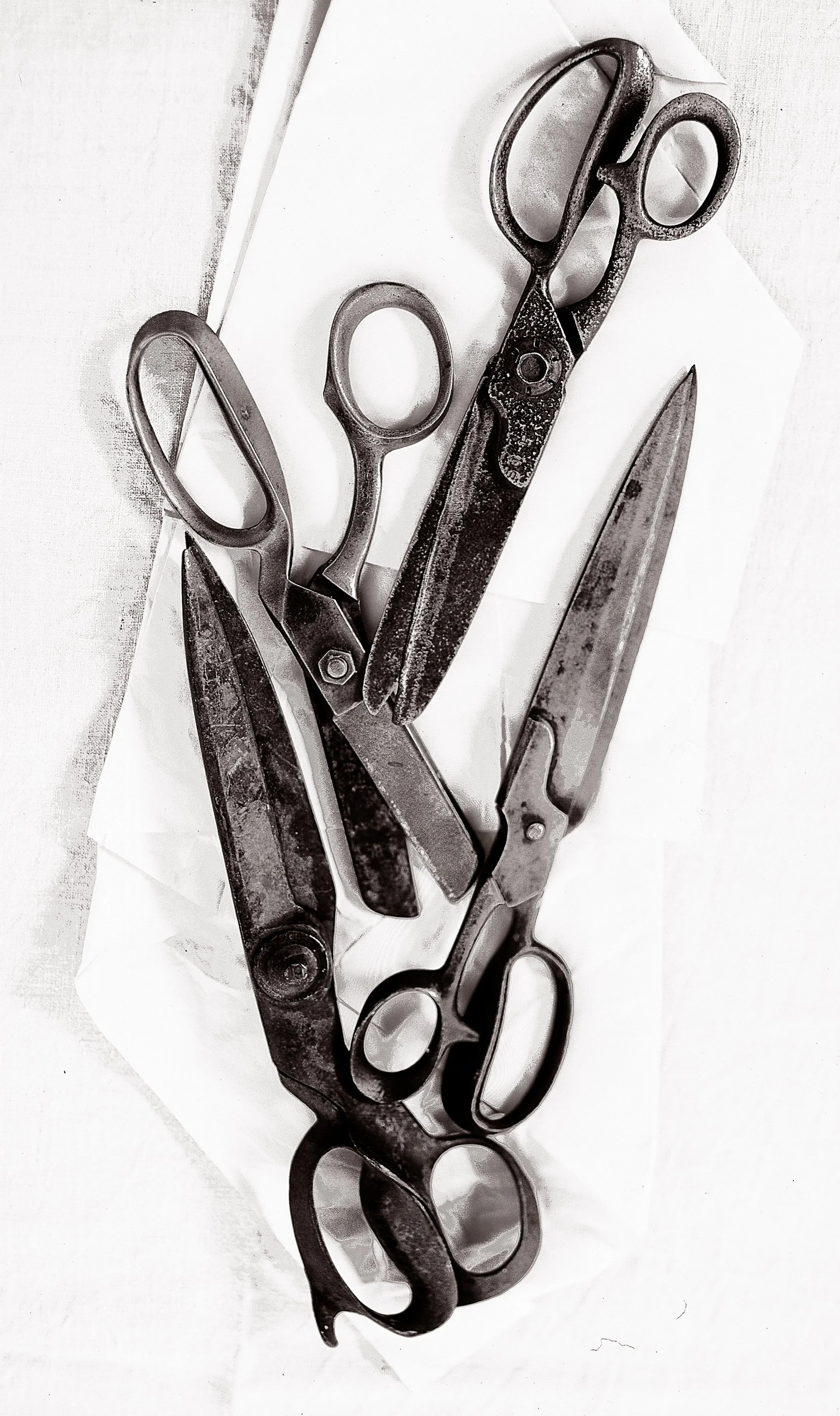 scissors 2009.jpg