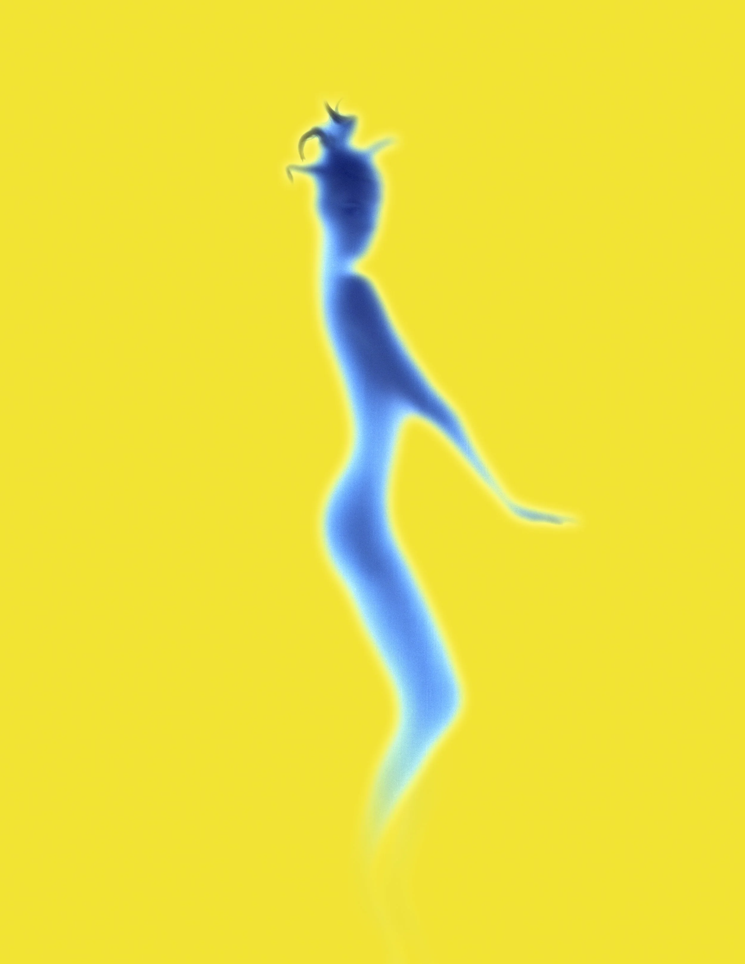 yellow backgpoundblue casey silo.jpg