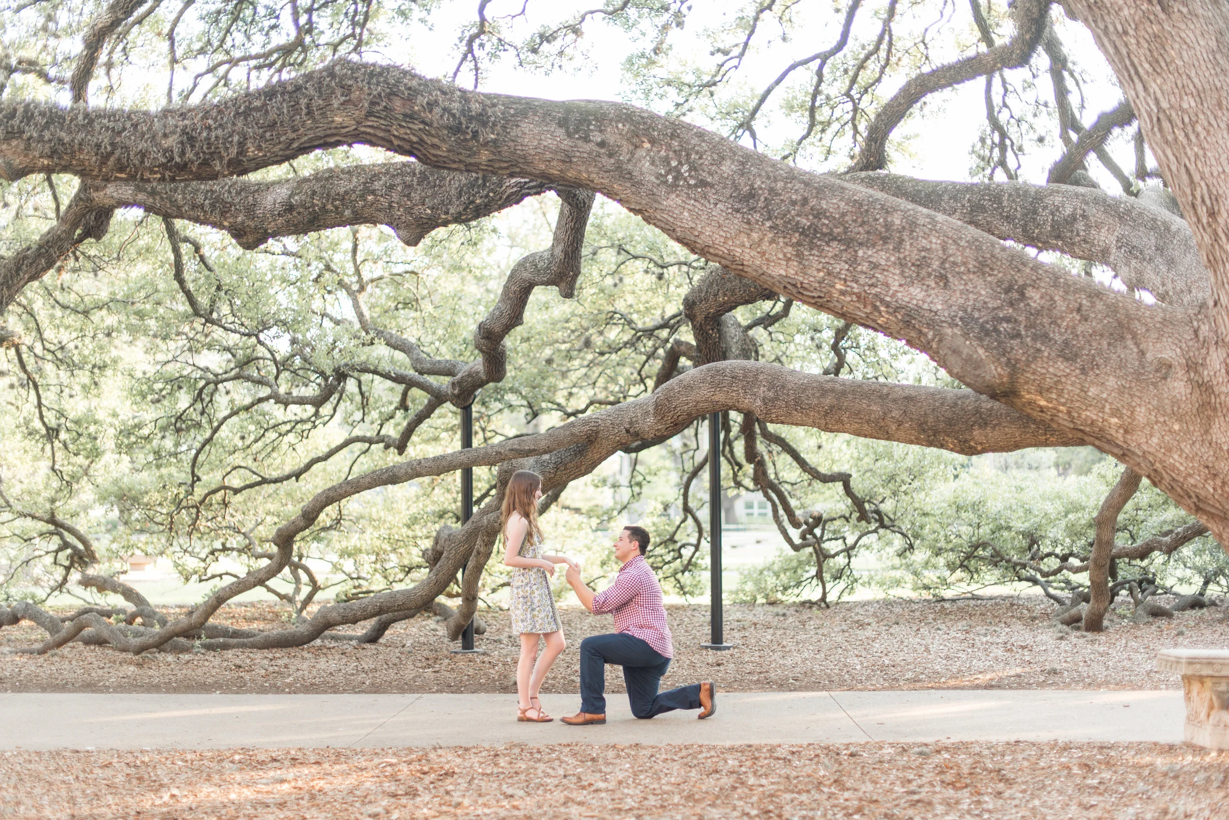 Ryan + Kelly Proposal | Texas A&M University