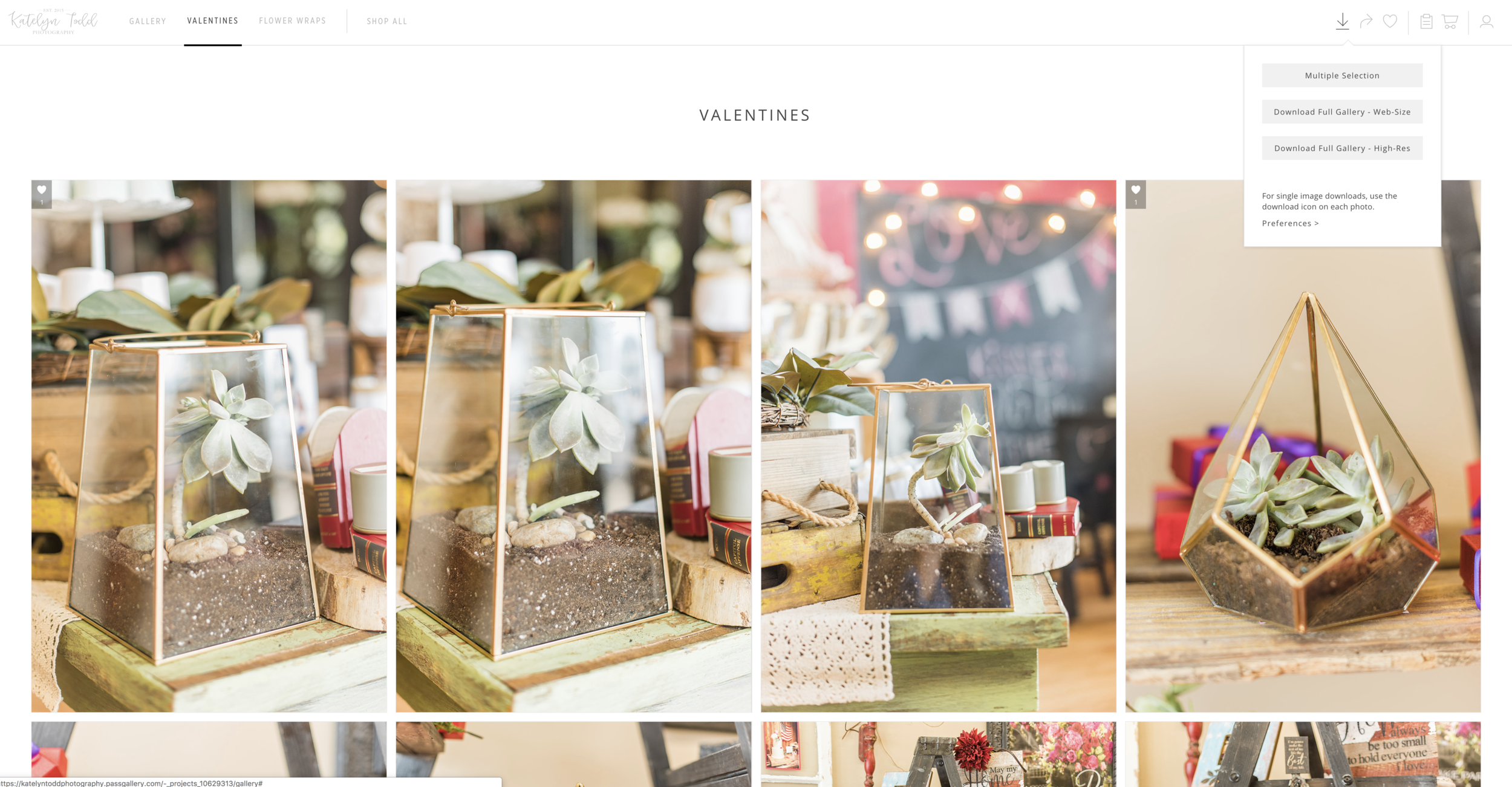How to download your images from your gallery to a computer