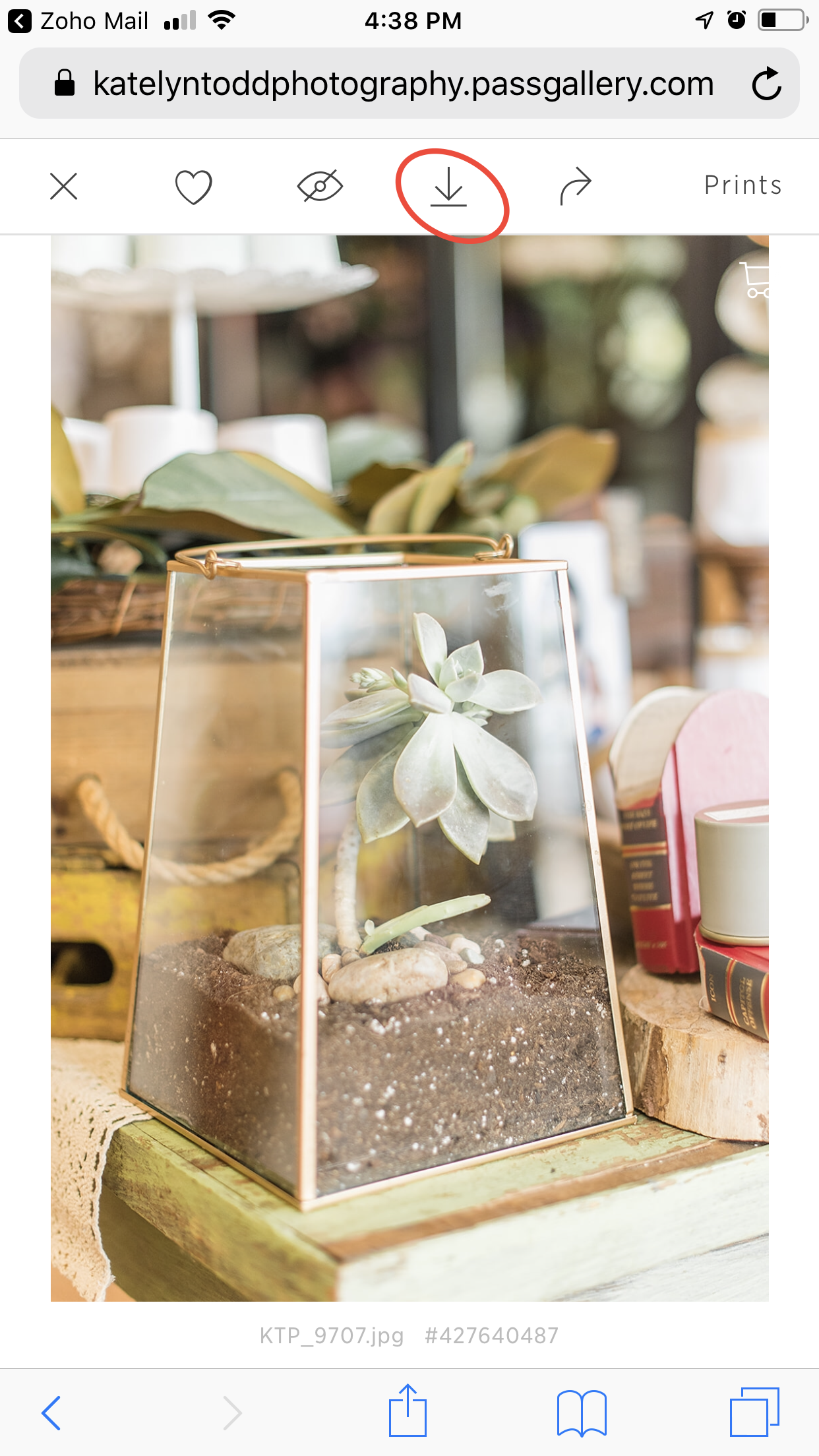 How to download your favorite images to your mobile device