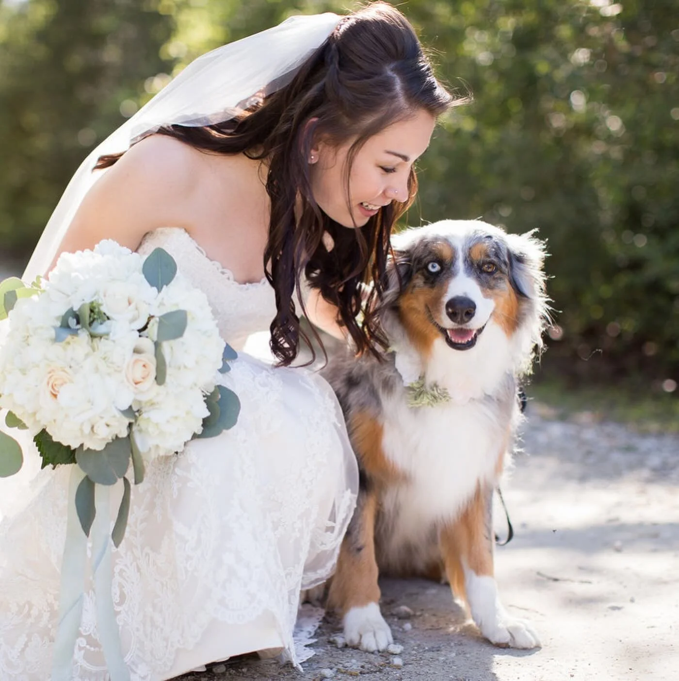 🐾 CASSIE, Aka CASS CASS 🐾

What a tough summer&hellip; heaven gained another one of my babies. 

Cassie came into my life one summer in high school. She was a spunky little pup. She grew up being an outside dog and then 5 years later she became a s