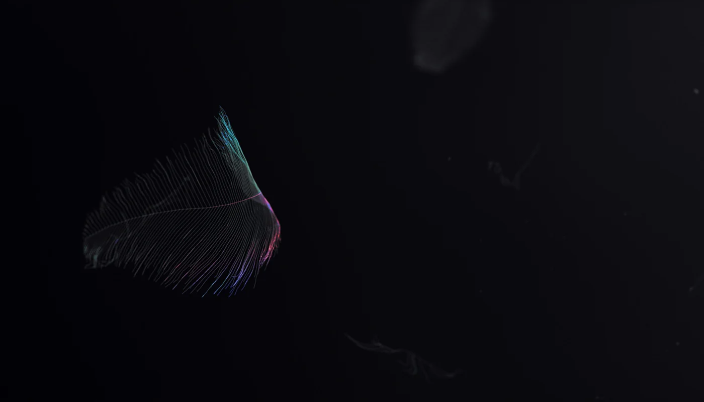 0c498436383609.571a11eabd0e6.jpg