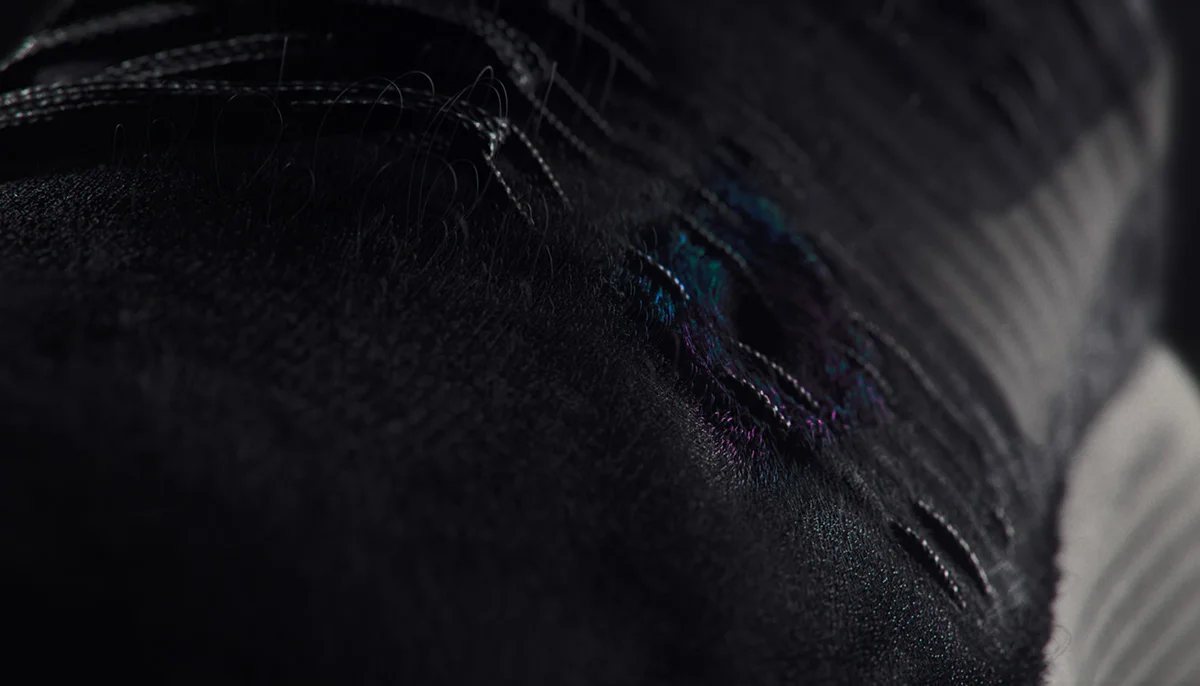 ba186a36383609.571a11eb86d46.jpg