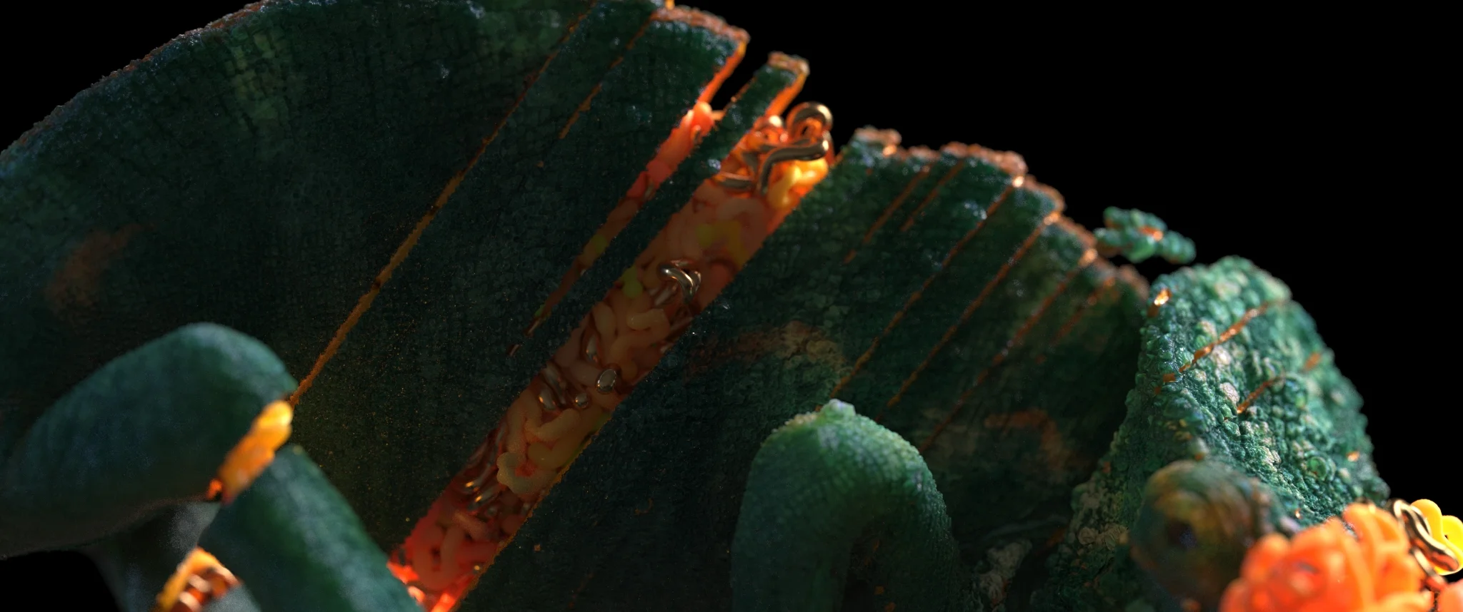 versus_max_v019.jpg