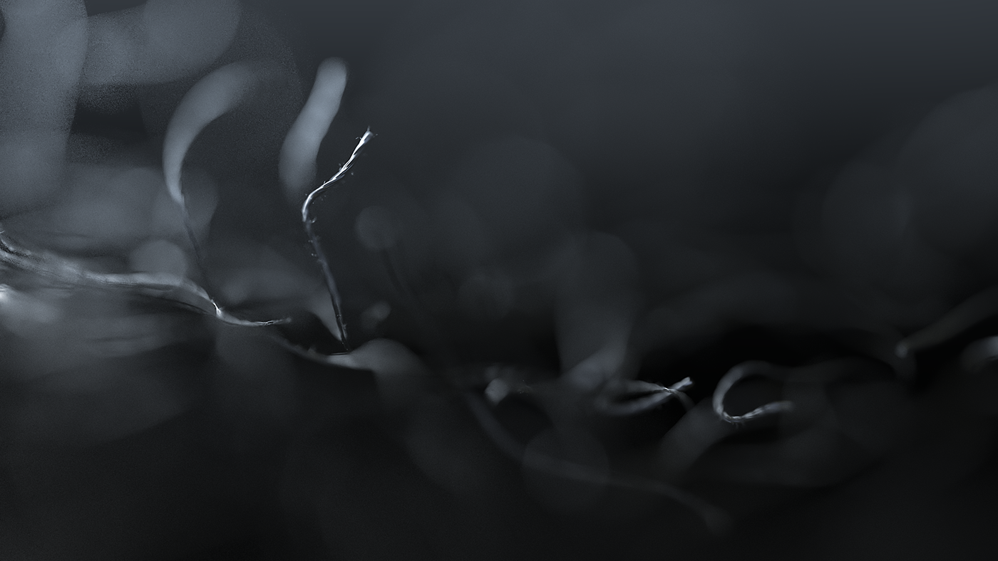 630b9055381601.5981f51c52b78.png