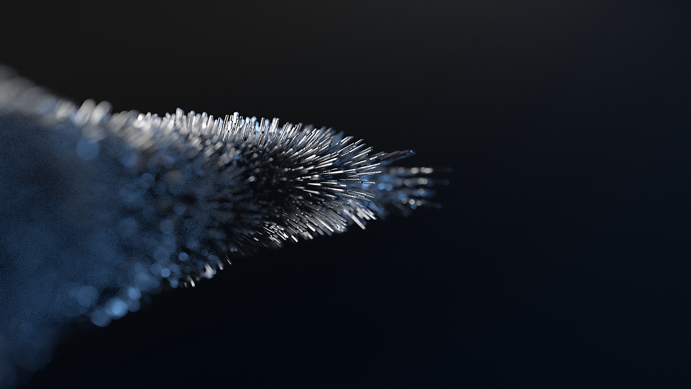 d4c4cf55381601.5981f51c5023e.png